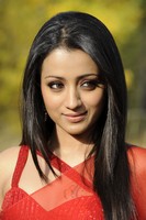 Trisha Hot Saree Photos